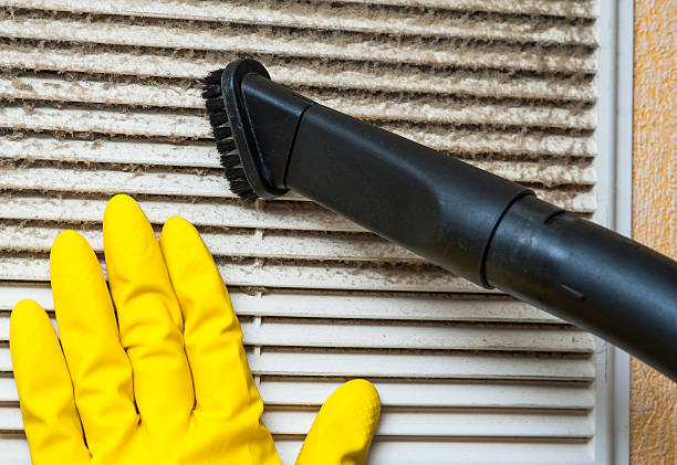 Best Home Air Vent Cleaning  in Rainbow City, AL